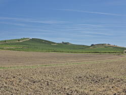 Petersberg IMG_1680.jpg Vorschau: 249x187