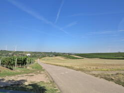 Vor Bechtolsheim IMG_1685.jpg Vorschau: 249x187